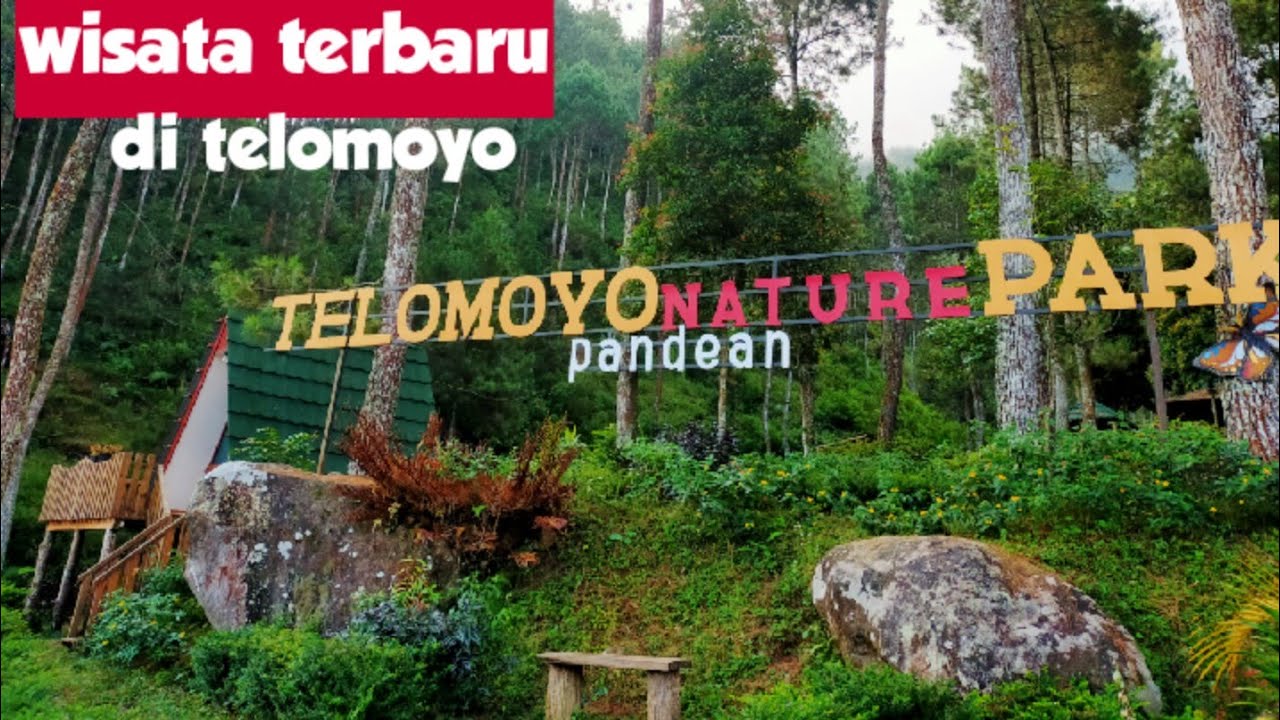 Telomoyo Nature Park: Destinasi Menakjubkan di Lereng Gunung Telomoyo